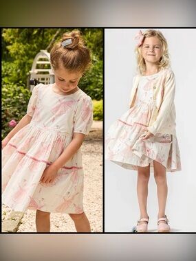 Pink Chicken Girls Meredith Dress Ballerinas Pink Velvet Metallic Trim Size 3Y